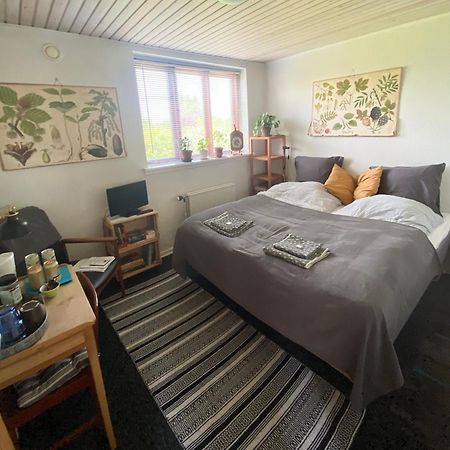 Apartmán Vaerelse Midtfyn Heden Ringe Exteriér fotografie